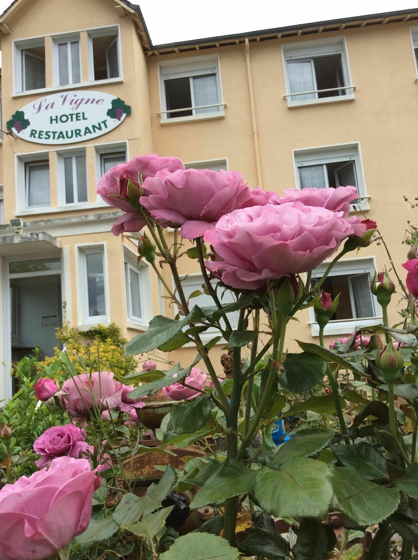 Hotel La Vigne La Roche-Posay Exterior foto